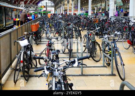 Paddington Station Concourse riesiger Pendler-Fahrradpark in separatem Bereich neben Bahnsteigen Fahrrädern mit Vorhängeschloss an Stahlrahmen London England UK Stockfoto