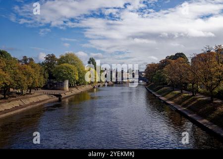 Erste Herbstangriffe an einem sonnigen Tag am Ufer des Flusses Ouse in York, England. Stockfoto
