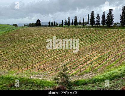 Ein Weingut in der Toskana, Italien Stockfoto