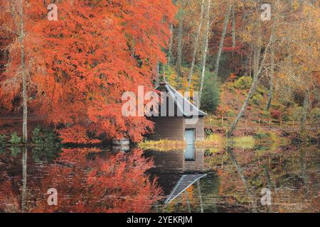 Eine ruhige Herbstszene am Loch Dunmore in Faskally Forest, Schottland, mit lebendigem Laub, das sich im ruhigen Wasser neben einem malerischen Bootshaus spiegelt. Stockfoto