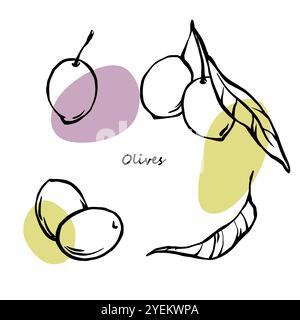 Handgezeichnete Oliven mit Blättern schwarz-weiße Strichelemente mit abstrakten Farbflecken. Design für Olivenöl, Naturkosmetik, Verpackung, Drucke, Stock Vektor