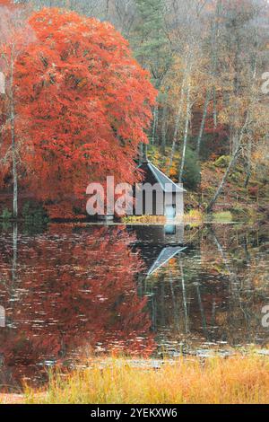 Eine ruhige Herbstszene am Loch Dunmore in Faskally Forest, Schottland, mit lebendigem Laub, das sich im ruhigen Wasser neben einem malerischen Bootshaus spiegelt. Stockfoto