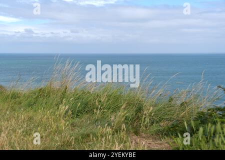 Die Strände der Normandie sind bekannt für die Operation Overlord und D-Day. Gedämpfte Farben und riesige Strände für Ebbe, Heuhaufen aus der Landschaft Stockfoto