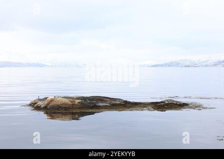 Die Aussicht von Alta entlang Altafjord an einem Wintermorgen. Der Fjord befindet sich in der Gemeinde Alta in der Ortschaft Finnmark im Norden Norwegens. Stockfoto