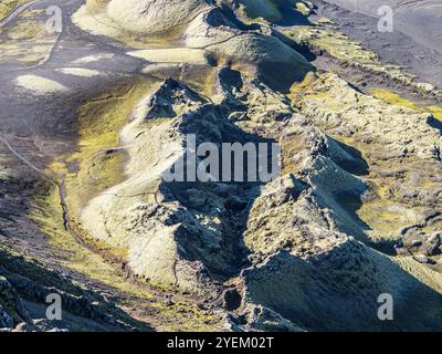 Moosbedeckter Laki-Krater oder Lakagígar, eine Reihe von Kratern, im Inneren des Hochlands Islands, Suðurland, Island Stockfoto