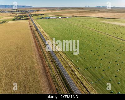 Wiese voller farbiger Heuballen, aus der Vogelperspektive, Südküste, Island Stockfoto