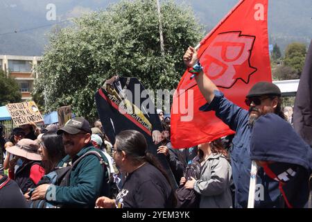 MARCHA MOVIMIENTOS SOCIALES Quito, vienes 31 de octubre del 2024 März der sozialen Bewegungen und Universitätsstudenten in Opposition gegen die Regierung, um gegen die Wirtschaftspolitik und Stromausfälle im Land zu protestieren, Downtown Quito Fotos API Rolando Enriquez Quito Pichincha Ecuador POL MARCHA MOVIMIENTOS SOCIALES 5316bea003f039fd6174617461746d4ad4ad4ef Copyright: XDOxENRIENTOS Stockfoto