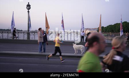 Der weiße Hund steht auf einer Brücke, während Marathonläufer vorbeifahren. Der Hund schaut in die Kamera und scheint nicht von den Läufern gestört zu sein. Russland, St. Petersburg, 11. Juni 2022 Stockfoto