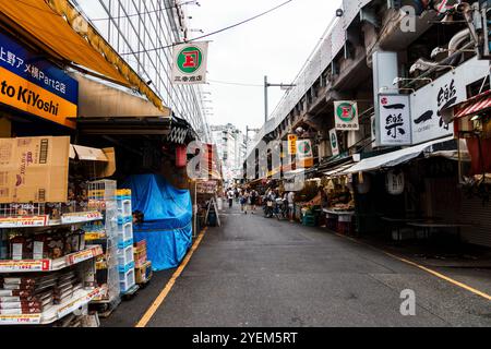 Tokio, Japan - 6. August 2024: Ameyoko, ein lebhafter Straßenmarkt in Ueno, Tokio, bietet geschäftige Geschäfte, Imbissstände und lokale Waren. Aufnahme der liv Stockfoto