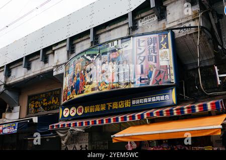 Tokio, Japan - 6. August 2024: Ameyoko, ein lebhafter Straßenmarkt in Ueno, Tokio, bietet geschäftige Geschäfte, Imbissstände und lokale Waren. Aufnahme der liv Stockfoto