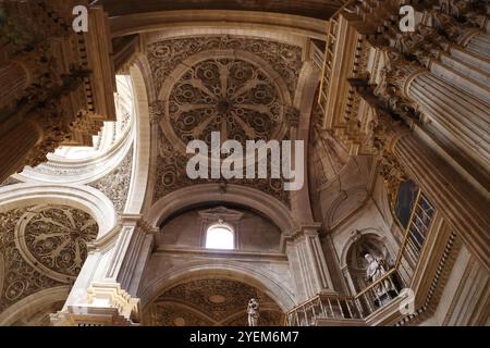 Gewölbte Decke der Pfarrkirche des Tabernakels - Iglesia Parroquial del Sagrario - von Granada, Andalusien, Spanien Stockfoto