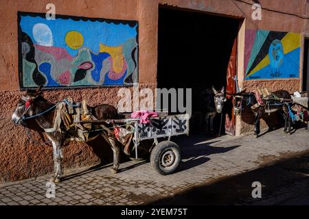 Stadtzentrum Marrakesch Marokko Stockfoto