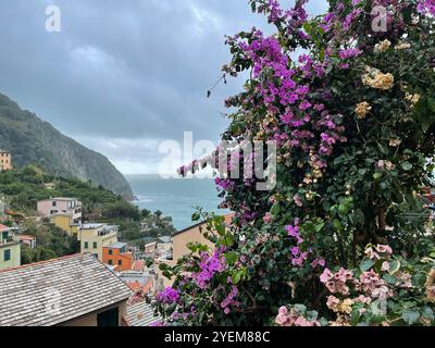 Riomaggiore, Italien Stockfoto