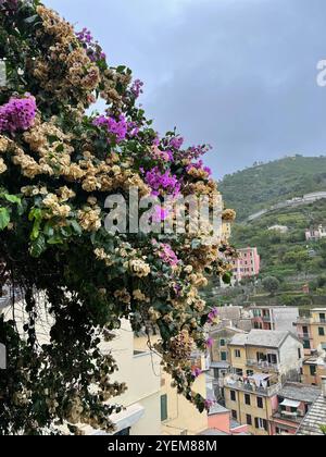 Riomaggiore, Italien Stockfoto