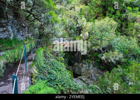 Der wunderschöne Weg PR6 Levada das 25 Fontes auf Madeira während der Sommersaison. Portugal. Stockfoto