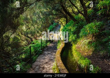 Der wunderschöne Weg PR6 Levada das 25 Fontes auf Madeira während der Sommersaison. Portugal. Stockfoto