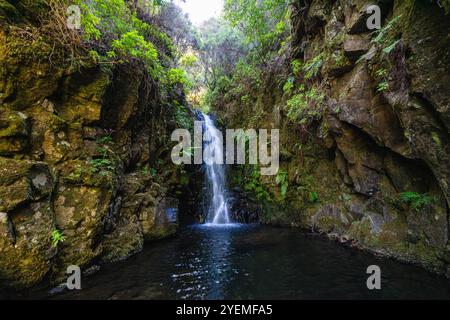 Der wunderschöne Weg PR6 Levada das 25 Fontes auf Madeira während der Sommersaison. Portugal. Stockfoto