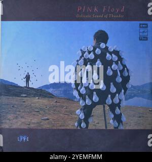 Pink Floyd - Delicate Sound of Thunder (russisches Cover) - Original Vinyl Cover Stockfoto