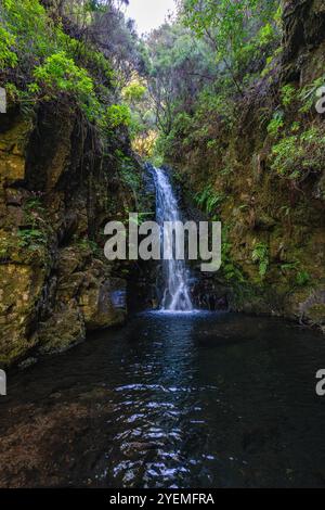 Der wunderschöne Weg PR6 Levada das 25 Fontes auf Madeira während der Sommersaison. Portugal. Stockfoto