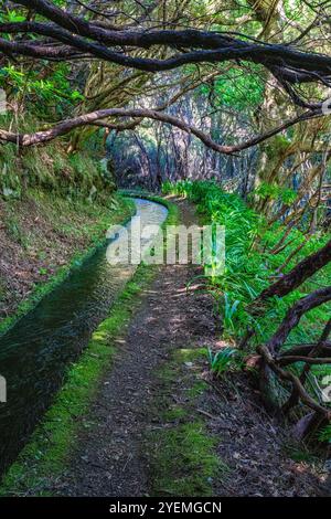 Der wunderschöne Weg PR6 Levada das 25 Fontes auf Madeira während der Sommersaison. Portugal. Stockfoto