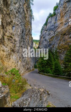 Blick auf eine Straße und Landschaft entlang der Trigrader Schlucht im Rhodopen-Gebirge, Südbulgarien Stockfoto