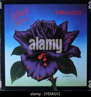 Thin Lizzy - Black Rose A Rock Legend - Original Vinyl Cover Stockfoto