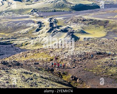 Moosbedeckter Laki-Krater oder Lakagígar, Reihe von Kratern, aus der Vogelperspektive, das Innere des Hochlands Islands, Suðurland, Island Stockfoto