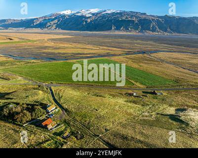 Weidende Schafe, Blick über Wiesen zum Gletscher Eyjafjallajökull, Fljotsdalur Valley, Island Stockfoto