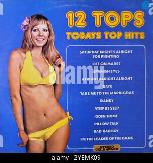 Unbekannte Künstler - 12 Tops 00002 - Original Vinyl Cover Stockfoto