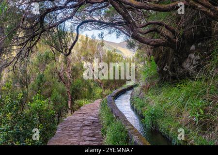 Der wunderschöne Weg PR6 Levada das 25 Fontes auf Madeira während der Sommersaison. Portugal. Stockfoto