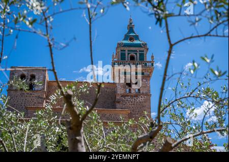 Cartuja de Valldemossa Mallorca, Blick aus einem niedrigen Winkel mit Zweigen eines Baumes davor, mallorca spanien Stockfoto