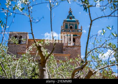 Cartuja de Valldemossa Mallorca, Blick aus einem niedrigen Winkel mit Zweigen eines Baumes davor, mallorca spanien Stockfoto