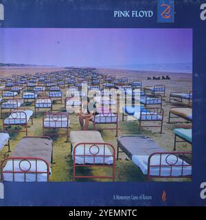 Pink Floyd - A Momentary Lapse of Reason - Original Vinyl Cover Stockfoto