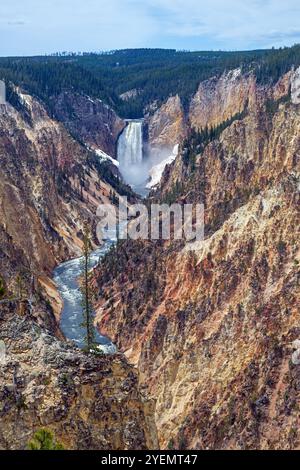 Yellowstone Canyon und Wasserfälle im späten Frühling im Yellowstone National Park in Wyoming Stockfoto