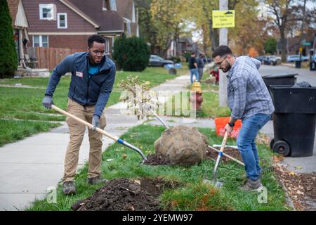 Detroit, Michigan - die gemeinnützige Greening of Detroit pflanzt Bäume im Stadtviertel Morningside. Die Arbeit wurde von Freiwilligen geleistet, viele von General Stockfoto