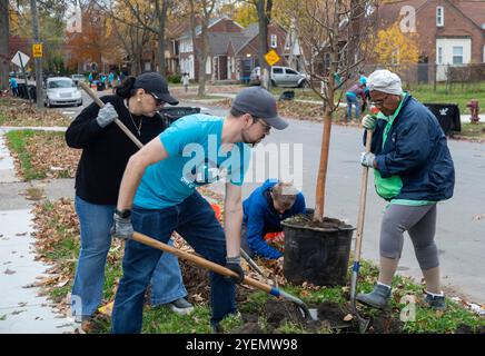 Detroit, Michigan - die gemeinnützige Greening of Detroit pflanzt Bäume im Stadtviertel Morningside. Die Arbeit wurde von Freiwilligen geleistet, viele von General Stockfoto