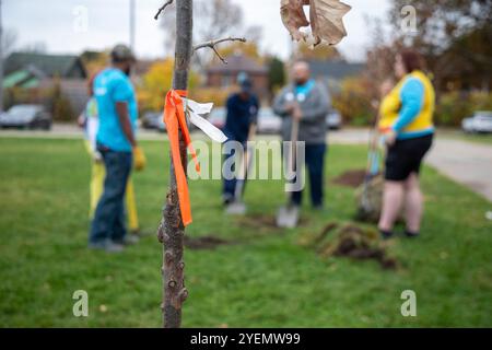 Detroit, Michigan - die gemeinnützige Greening of Detroit pflanzt Bäume im Stadtviertel Morningside. Die Arbeit wurde von Freiwilligen geleistet, viele von General Stockfoto