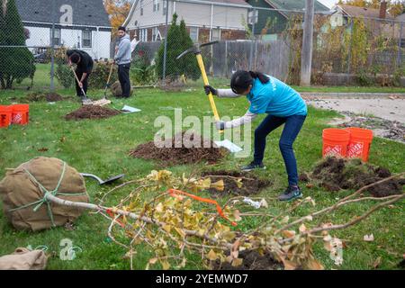 Detroit, Michigan - die gemeinnützige Greening of Detroit pflanzt Bäume im Stadtviertel Morningside. Die Arbeit wurde von Freiwilligen geleistet, viele von General Stockfoto