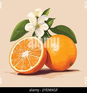 Orange Zitrusfrucht über beigem Hintergrund Vektor Stock Vektor