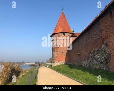 Die burg in Malbork, Marienburg vom Fluss Nogat aus gesehen. Deutsche Ritterarchitektur in Polen. Stockfoto