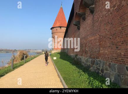 Die burg in Malbork, Marienburg vom Fluss Nogat aus gesehen. Deutsche Ritterarchitektur in Polen. Stockfoto