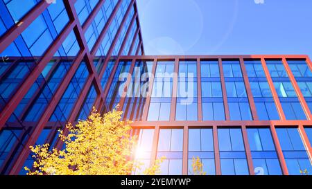 Nachhaltiges Bürogebäude aus Glas mit Bäumen zur Reduzierung von Kohlendioxid. Umweltfreundliches Gebäude in moderner Stadt. Büros mit gelbem Tress-Umfeld. Stockfoto
