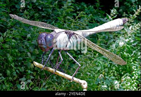 Große Dragonfly-Kunstwerke aus Metall auf der Forest Farm in Südwales. Vom Juli 2024 Stockfoto