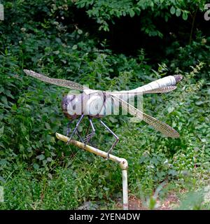 Große Dragonfly-Kunstwerke aus Metall auf der Forest Farm in Südwales. Vom Juli 2024 Stockfoto