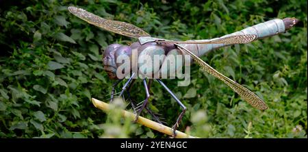 Große Dragonfly-Kunstwerke aus Metall auf der Forest Farm in Südwales. Vom Juli 2024 Stockfoto