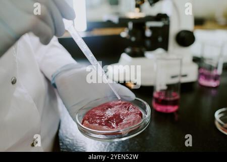Wissenschaftler mit Handschuhen bei der Arbeit mit Petrischale und Pipette im Labor. Rosafarbene Flüssigkeit und Mikroskop im Hintergrund sichtbar Stockfoto