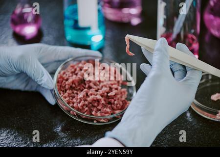 Wissenschaftler im Labor, der Fleischproben mit Handschuhen behandelt, zur Vorbereitung der Analyse. Laborgeräte und farbenfrohe Flüssigkeiten sind im Hintergrund Stockfoto