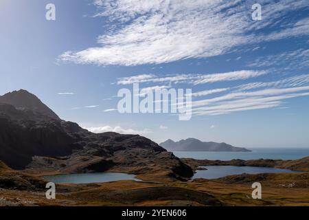 Blick auf die Fortuna Bay an der Nordküste von Südgeorgien, Südpolarmeer. Stockfoto