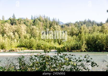 Faszinierender Blick auf den Vedder River, der sich durch Chilliwack, British C, Olumnbia, Kanada schlängelt Stockfoto