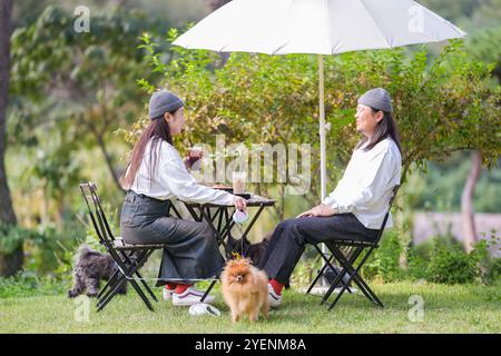 Ein koreanischer Mann und eine Japanerin, beide im Alter von 30 Jahren und ein verheiratetes Paar, genießen in einem stilvollen Café im Herbst einen Brunch mit drei Hunden Stockfoto